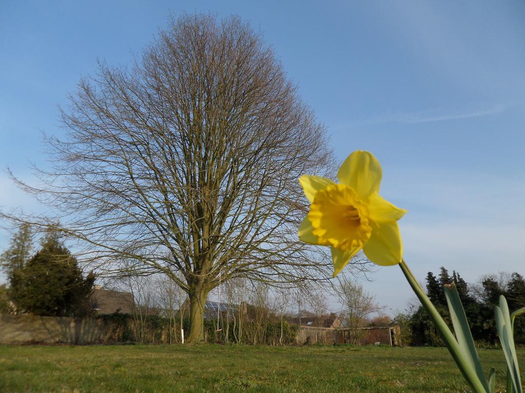 Villa Bijenhof Varsenare Rum bild