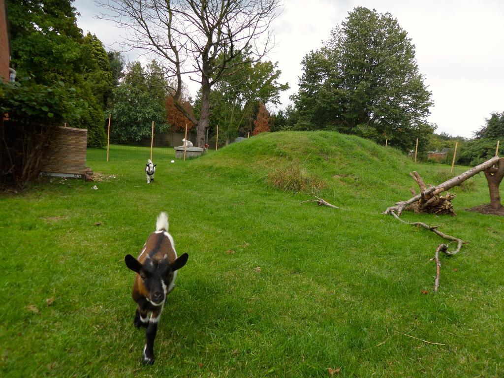 Villa Bijenhof Varsenare Rum bild