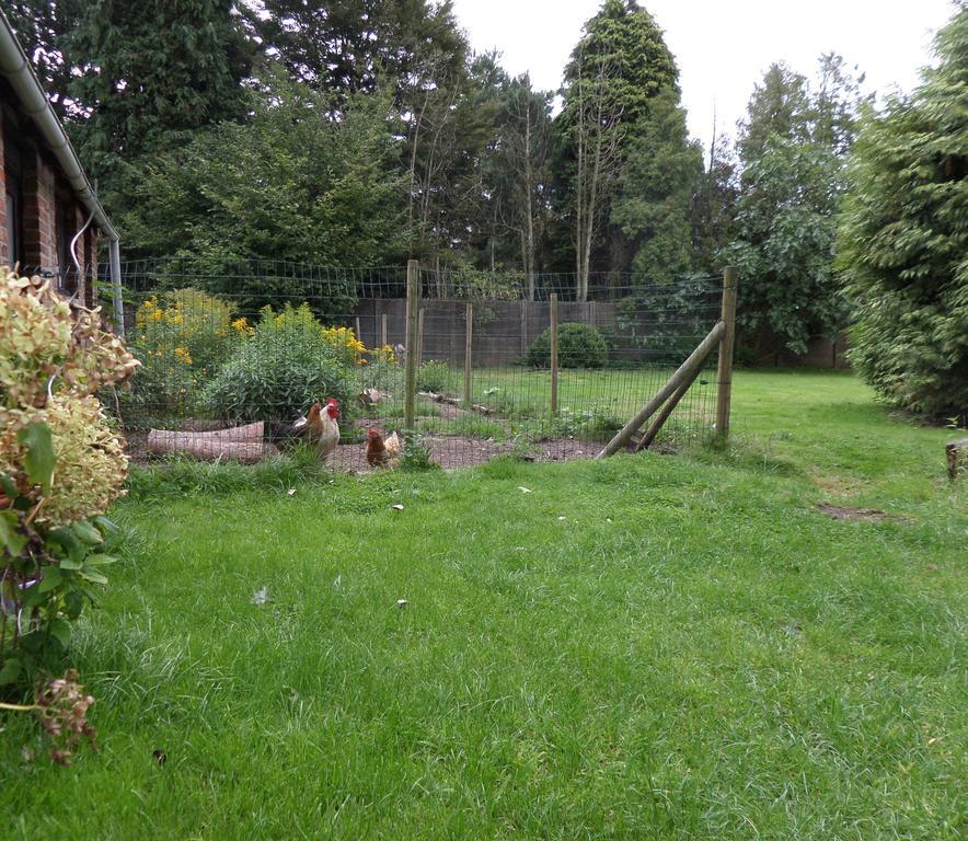 Villa Bijenhof Varsenare Rum bild