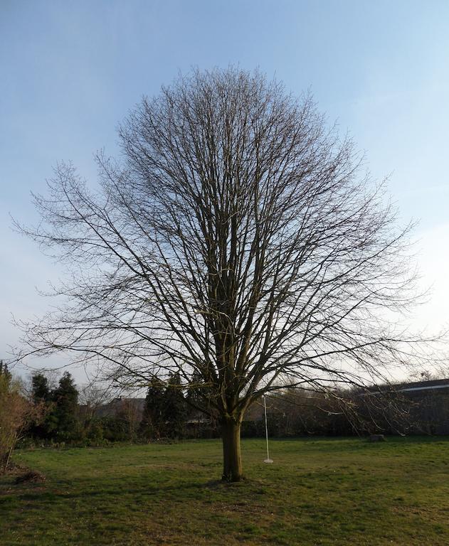 Villa Bijenhof Varsenare Rum bild